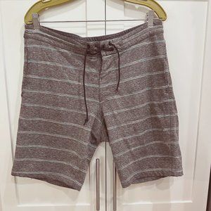 Vissla Men's Shorts with Drawstring and Stripes